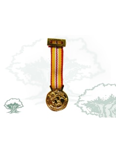 Medalla Mérito Turístico miniatura