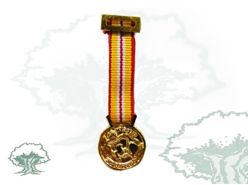Medalla Mérito Turístico miniatura