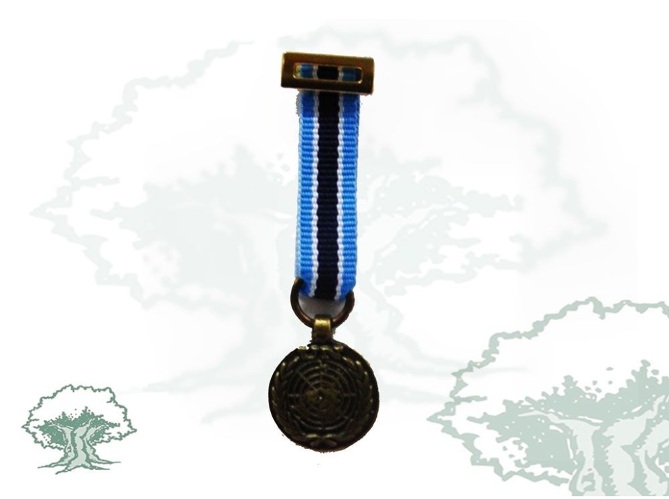 Medalla ONU (UNMIK) miniatura