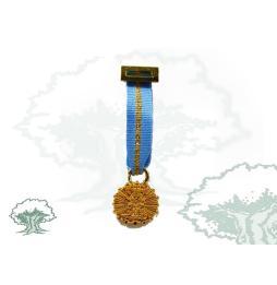 Medalla Solidaridad de la Junta de Andalucía miniatura