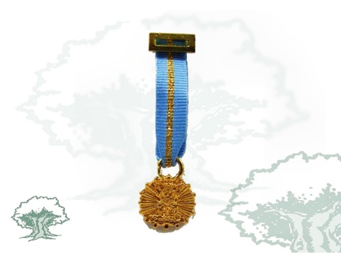 Medalla Solidaridad de la Junta de Andalucía miniatura Medalla Solidaridad de la Junta de Andalucía miniatura