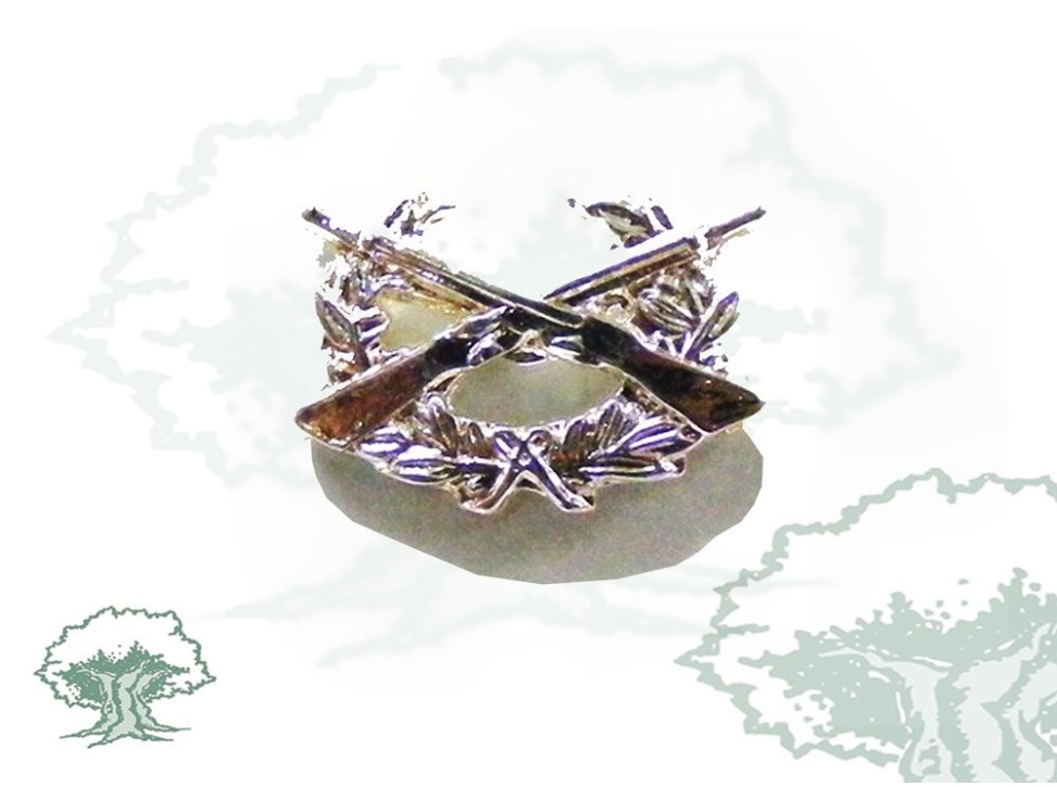 Pin Tirador Selecto Ejército
