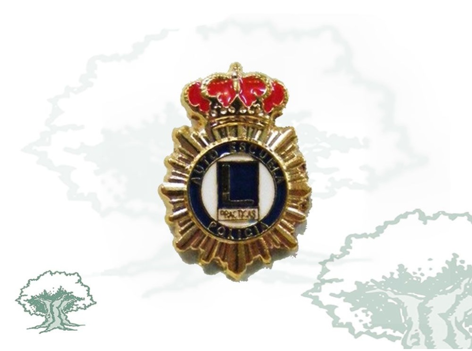 Pin Auto Escuela Policía Nacional