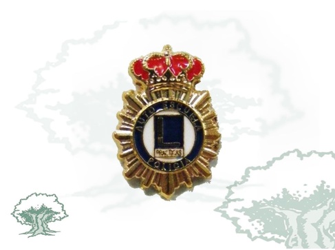 Pin Auto Escuela Policía Nacional Pin Auto Escuela Policía Nacional