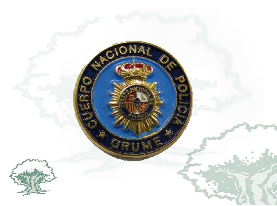Pin GRUME Policía Nacional