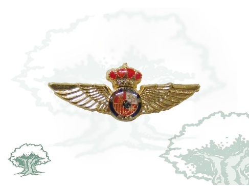 Pin Roquisqui Policía Nacional