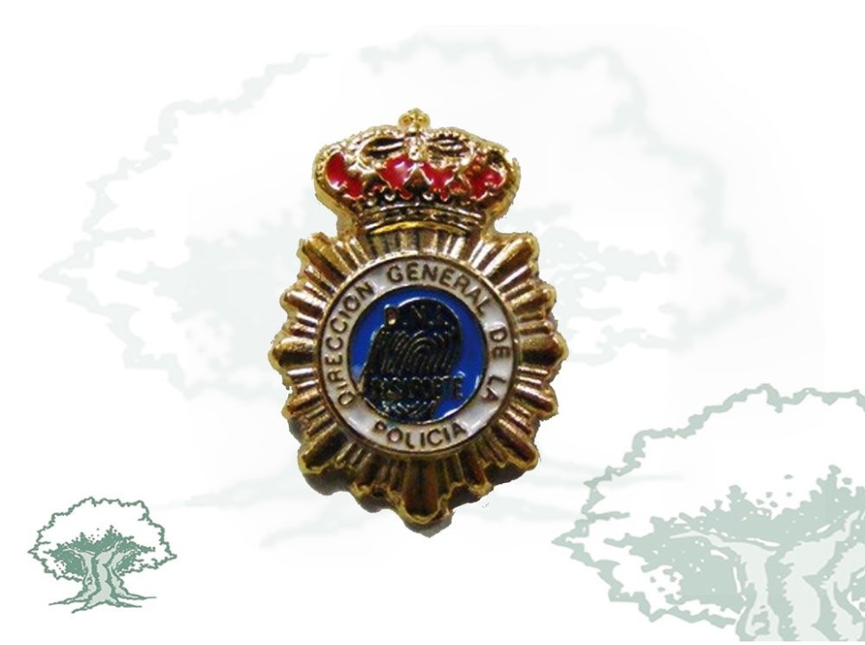 Pin Dirección General Policía Nacional