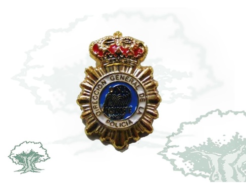 Pin Dirección General Policía Nacional