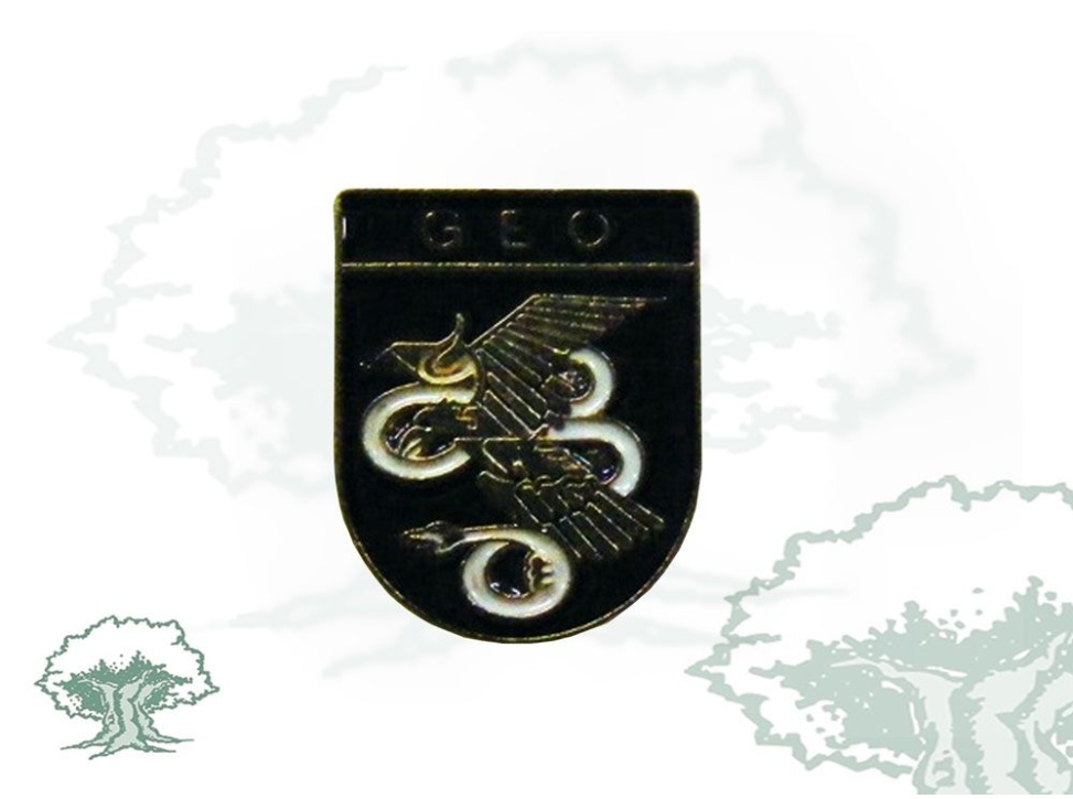Pin GEO Policía Nacional