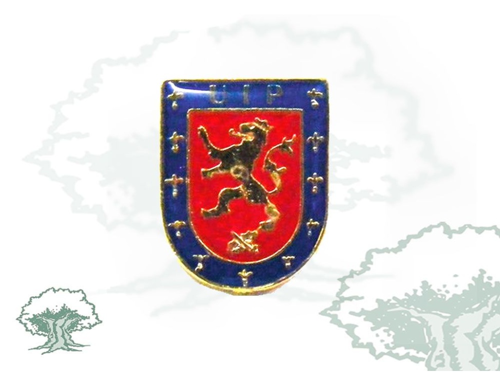 Pin UIP Policía Nacional