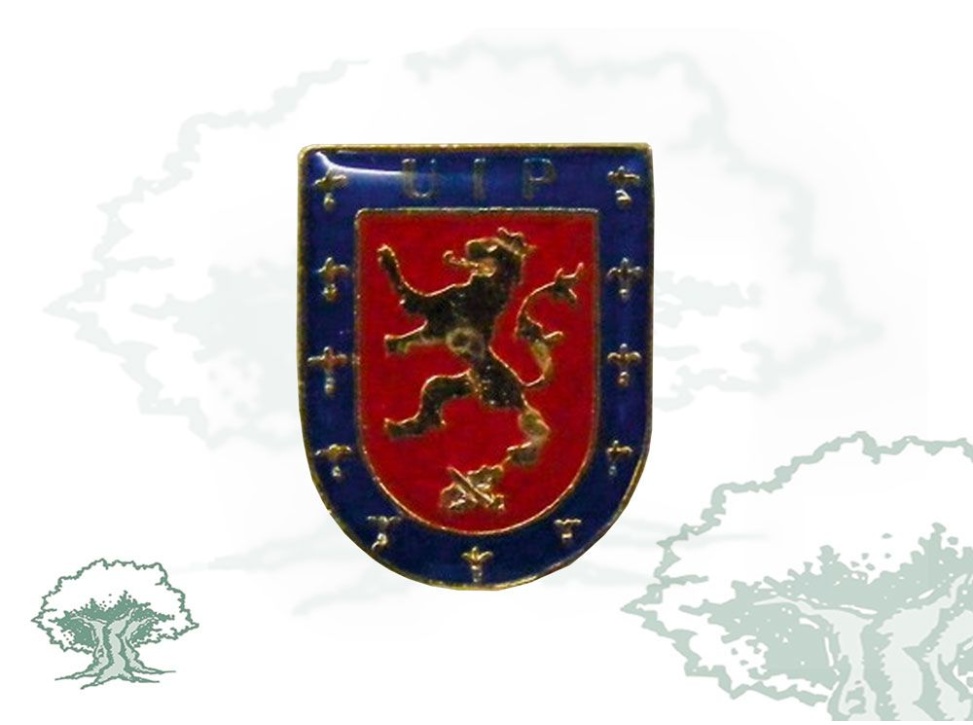 Pin UIP Policía Nacional grande