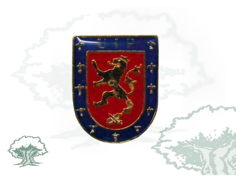 Pin UIP Policía Nacional grande Pin UIP Policía Nacional grande