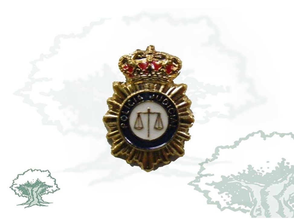 Pin Policía Judicial Policía Nacional perfilado