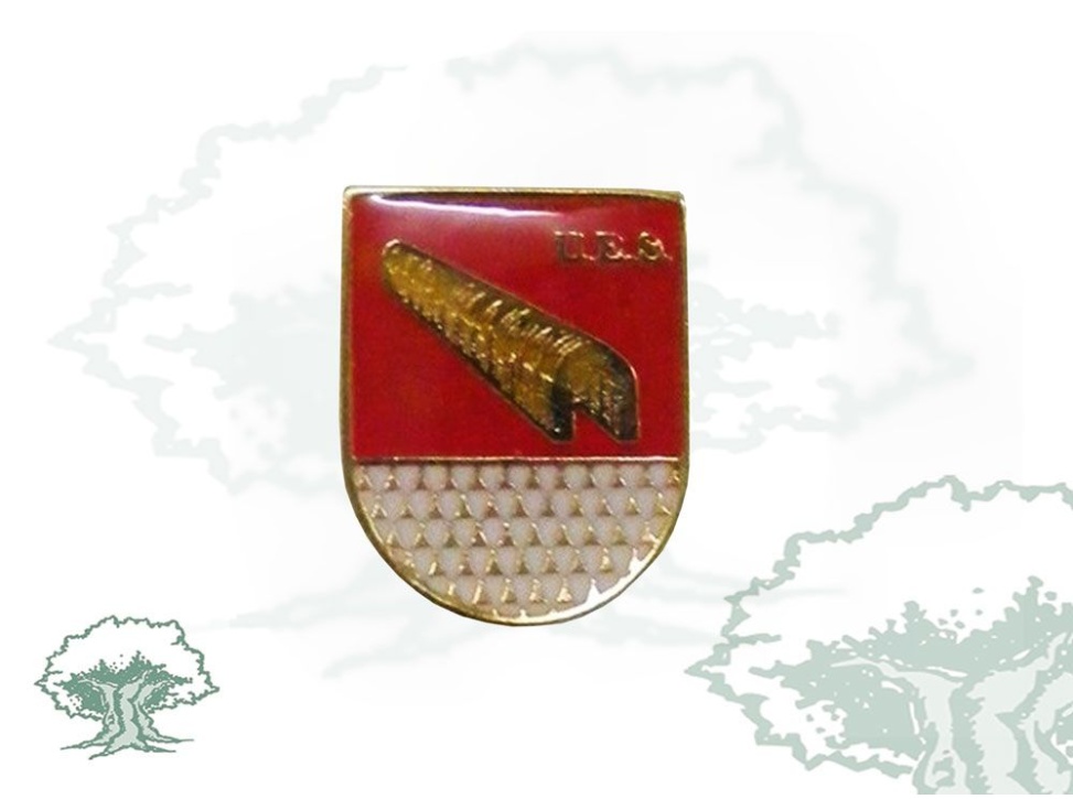 Pin UES Policía Nacional