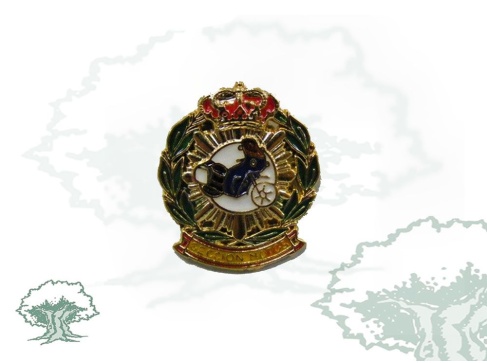 Pin Sección de Motos Policía Nacional
