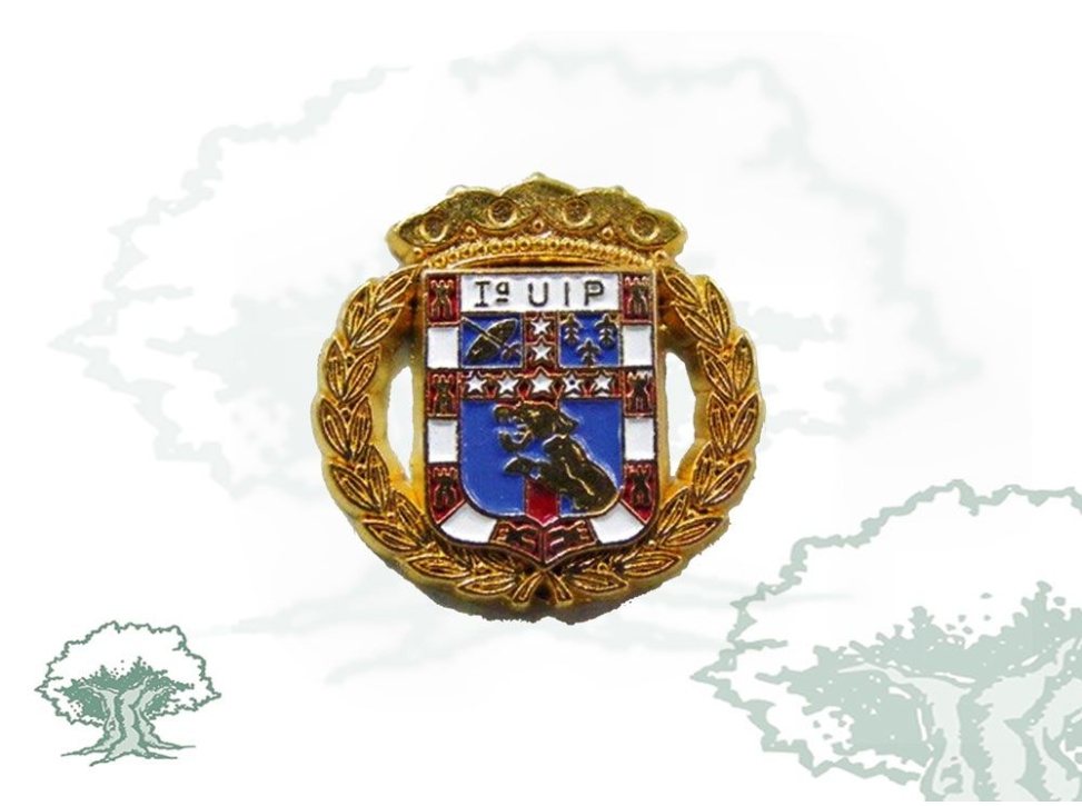 Pin 1ª UIP Policía Nacional