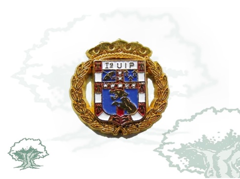 Pin 1ª UIP Policía Nacional Pin 1ª UIP Policía Nacional
