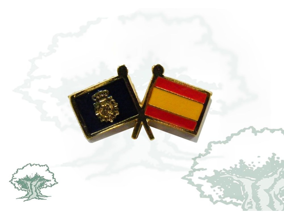 Pin Policía Nacional banderas
