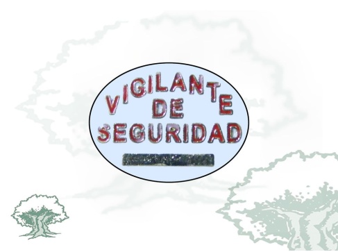 Pin Vigilante de Seguridad