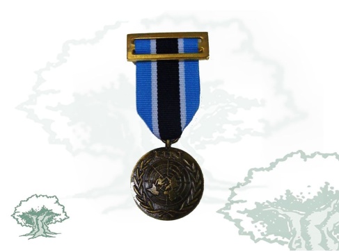 Medalla de la ONU (UNMIK)