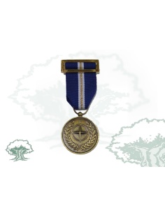 Medalla OTAN (Eagle Assist)