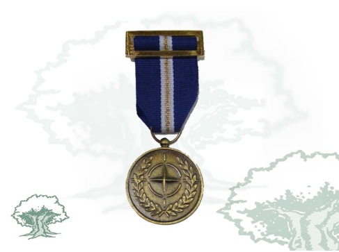 Medalla OTAN (Eagle Assist)