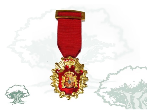 Medalla Licenciado en Derecho