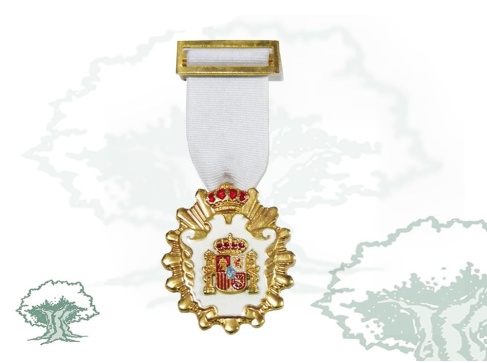 Medalla Licenciado en Humanidades, Historia y Ciencias Políticas