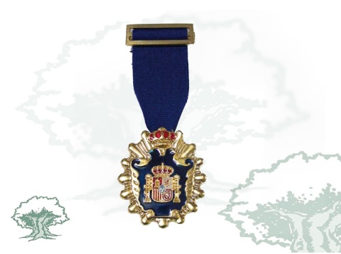 Medalla Licenciado en Psicología y Filosofía Medalla Licenciado en Psicología y Filosofía