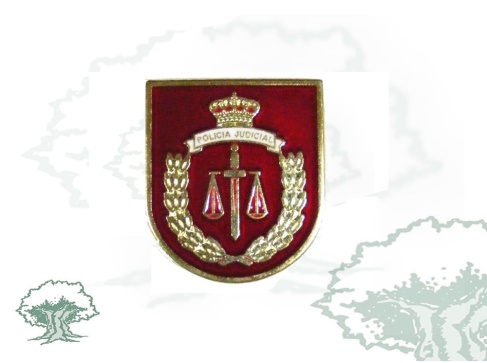Distintivo Policía Judicial de la Policía Nacional