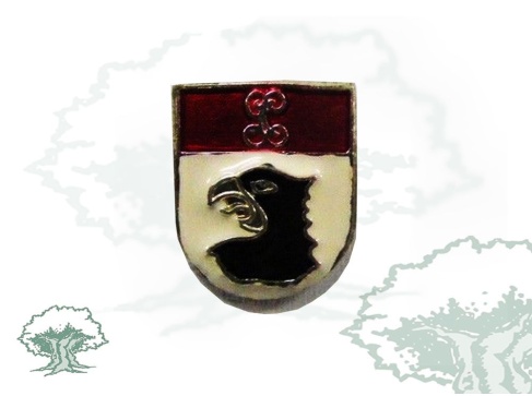 Pin Información Guardia Civil de plata