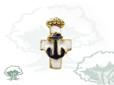 Pin Mérito Naval