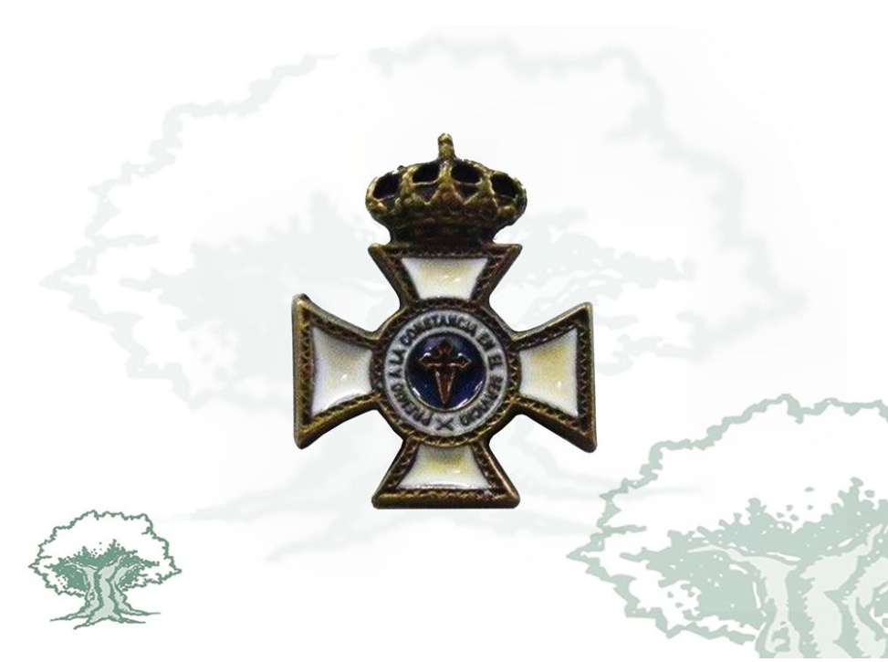 Pin Cruz Constancia en el Servicio 15 años