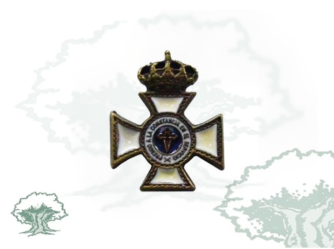 Pin Constancia 15 años