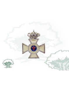 Pin Cruz Constancia en el Servicio 25 años