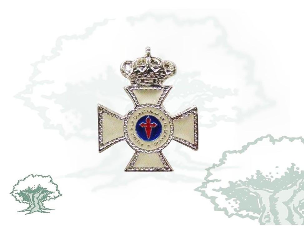 Pin Cruz Constancia en el Servicio 25 años