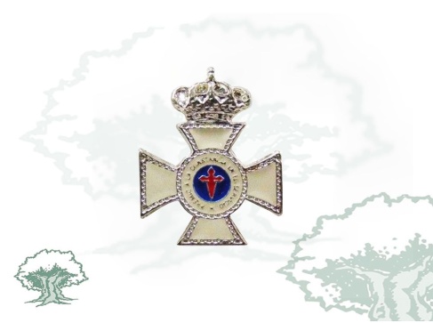 Pin Cruz Constancia en el Servicio 25 años