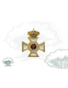 Pin Cruz Constancia en el Servicio 30 años