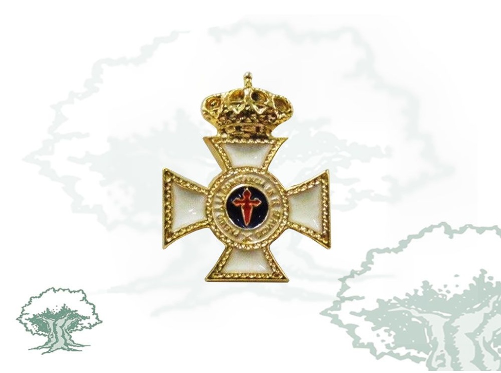 Pin Cruz Constancia en el Servicio 30 años