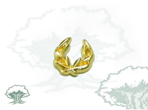 Pin Policía Nacional laurel doble