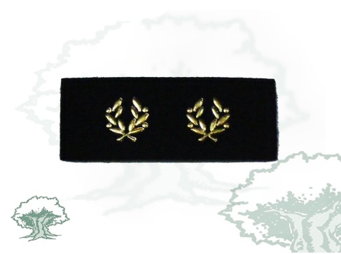 Tira de rango Inspector Policía Nacional Tira de rango Inspector Policía Nacional