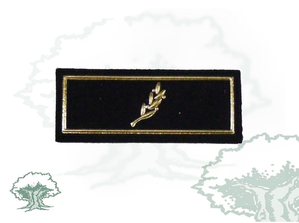 Tira de rango Oficial Policía Nacional antigua