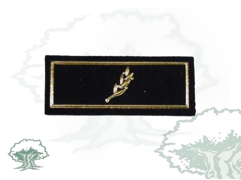 Tira de rango Oficial de la Policía Nacional modelo antiguo