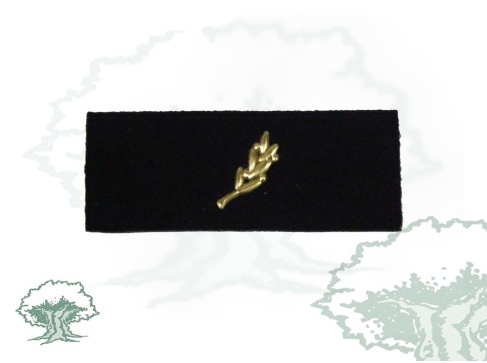 Tira de rango Escala Básica Policía Nacional Tira de rango Escala Básica Policía Nacional