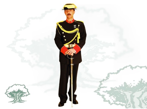 Traje de Gran Gala Guardia Civil de alquiler