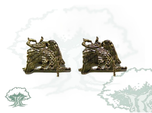 Emblemas Especialistas del Ejército para cuello