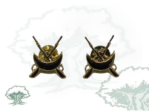 Emblemas Regulares Ejército para cuello