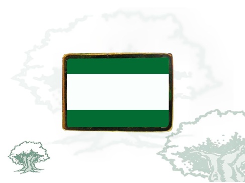 Pin bandera de Andalucía