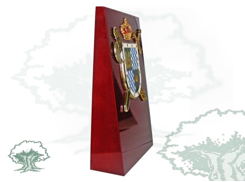 Metopa de cuña Academia de Guardias