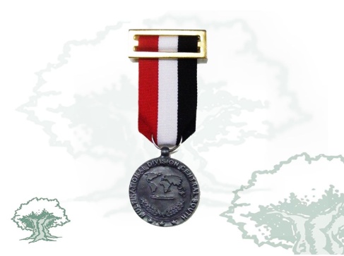 Medalla Irak